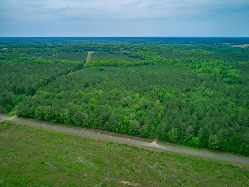 Batesburg, Saluda County, SC Recreational Property, Timberland Property for sale Property ID: 418592284