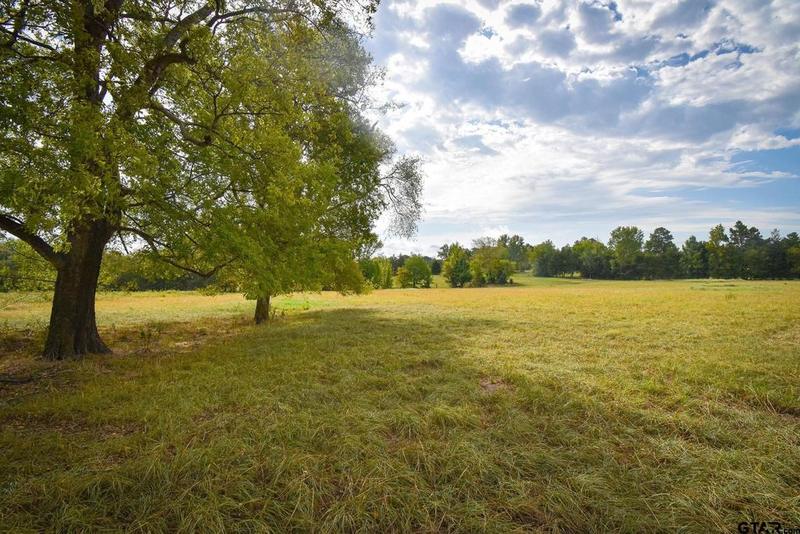 12737 Ridgeway Ct, Winona, TX 75792 for Sale