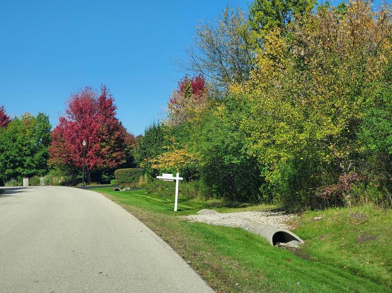39587 Orchard Bluff Ln, Wadsworth, IL 60083 - MLS 11886951 for Sale