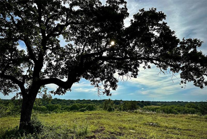 175 Memphis Ranch Rd, Paradise, TX 76073 for Sale