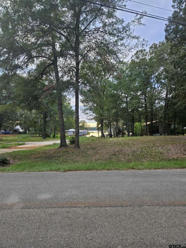 TBD W LAKEVIEW DR LOT 135, Troup, TX 75789 Single Family Residence For Sale  MLS# 23013885