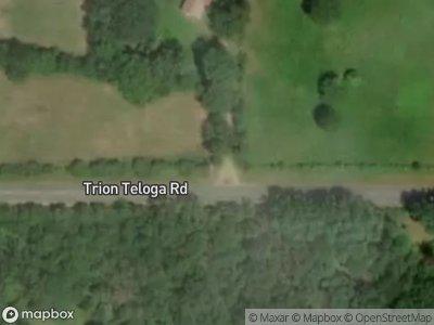 Trion Teloga Rd for Sale