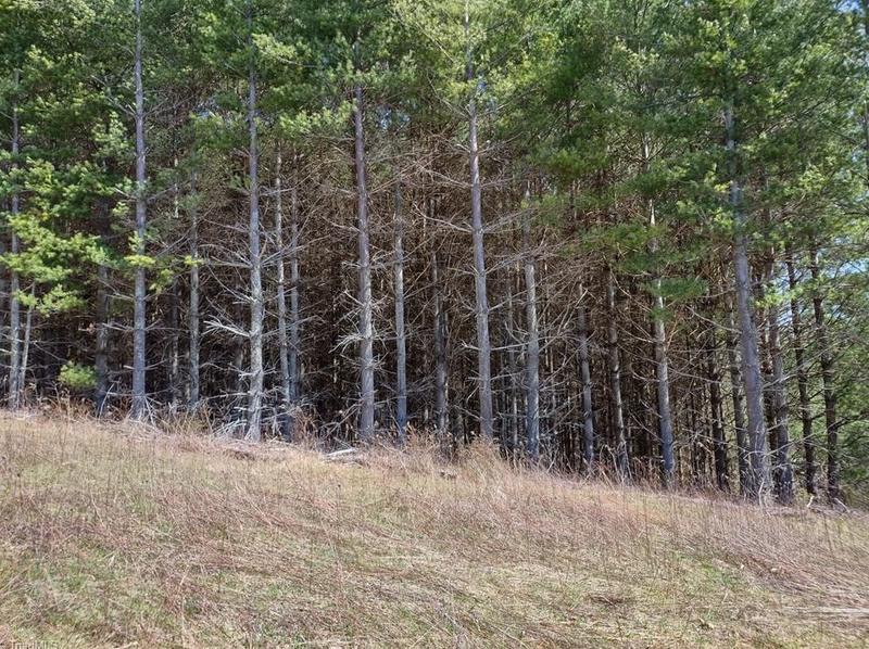 Lot 8 Alta Vista Ln, Sparta, NC 28675 - MLS 1064707 for Sale