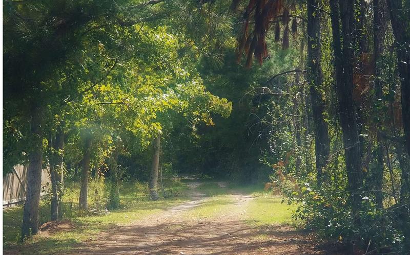 3156 NW Moore Rd, Lake City, FL 32055  MLS# 121273 for Sale