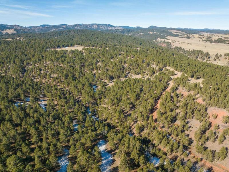 TBD VIP ROAD, Hermosa, SD 57744 Land For Sale  MLS# 75051