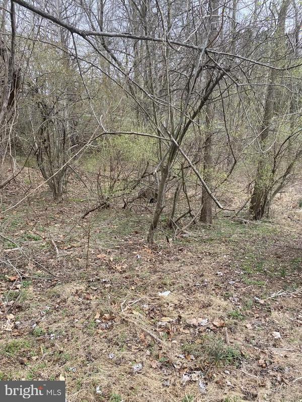 Finksburg, Carroll County, MD Farms and Ranches, Homesites for sale Property ID: 418046481