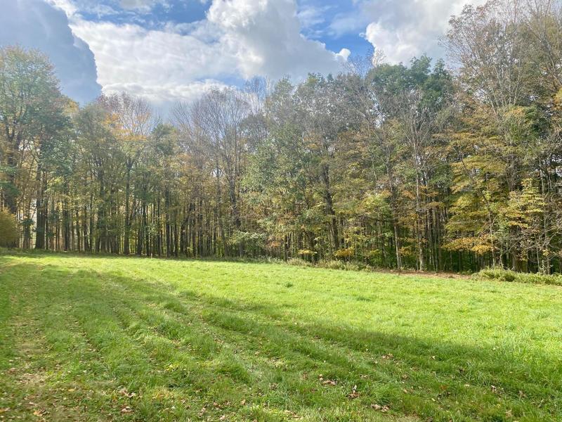 Pittsfield, Berkshire County, MA Farms and Ranches, Recreational Property, Homesites for sale Property ID: 417947437