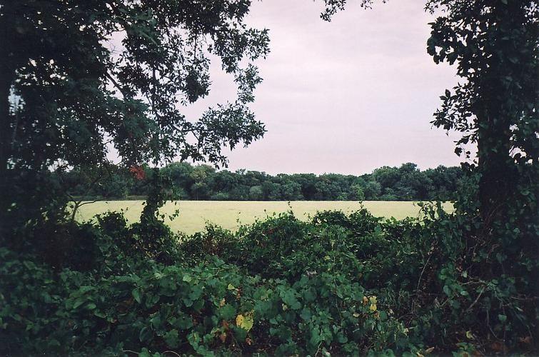 Thackerville, Love County, OK Farms and Ranches, Undeveloped Land, Commercial Property for sale Property ID: 332303697