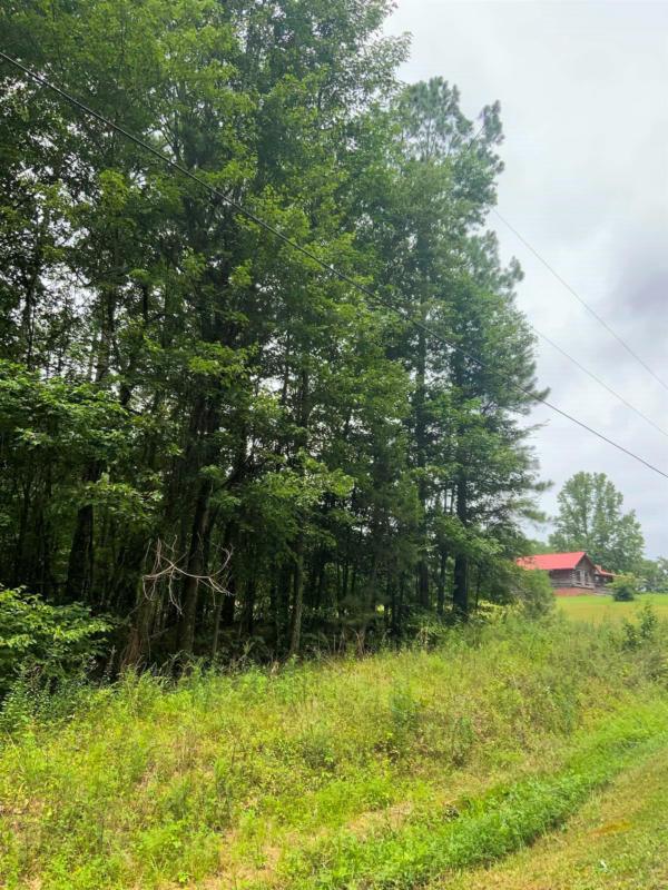 MELTON RD, Wildersville, TN 38388 Land For Sale  MLS# 234052