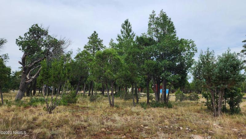 2368 PINE CREST DR, Happy Jack, AZ 86024 Land For Sale  MLS# 194170