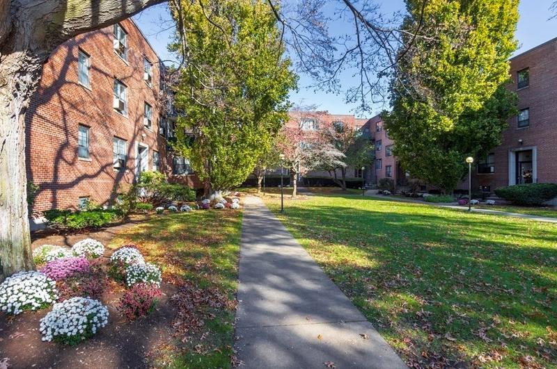 51 Harvard Ave #1, Brookline, MA 02446 - MLS 73188971 for Rent