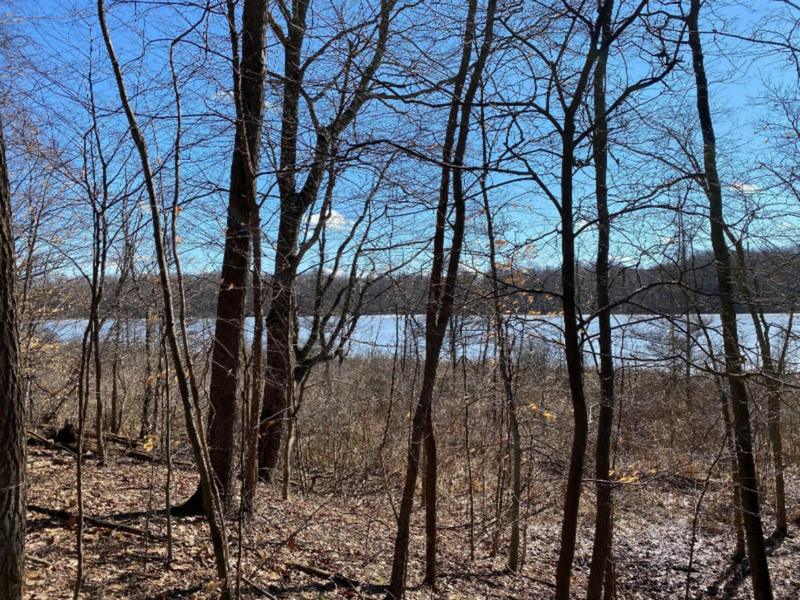 LONG LAKE DRIVE, Cassopolis, MI 49031 Land For Sale  MLS# 23007309