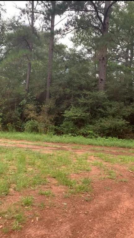 0 Deerwood Drive, Hempstead, TX 77445 for Sale