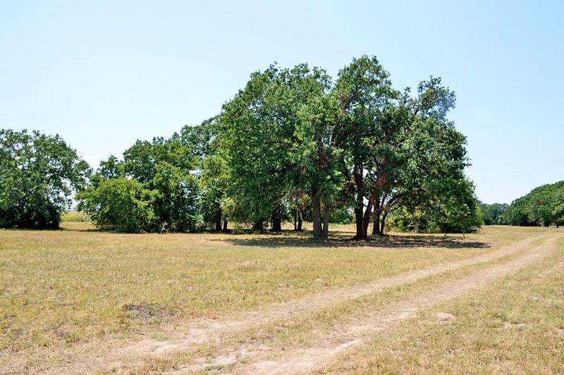 TBD 155 FM 1227, Navasota, TX 77868 for Sale