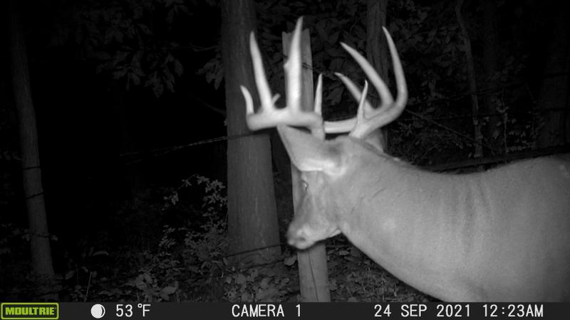 Rock Springs, Sauk County, WI Recreational Property, Hunting Property for sale Property ID: 418036519