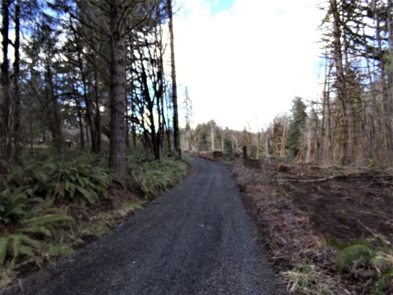 Walton, Lane County, OR Undeveloped Land for sale Property ID: 416025036