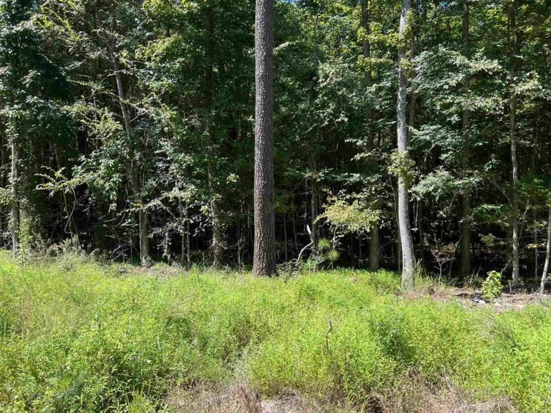 36 COTTON PICKIN PL, Henderson, NC 27537 Land For Sale  MLS# 2472286