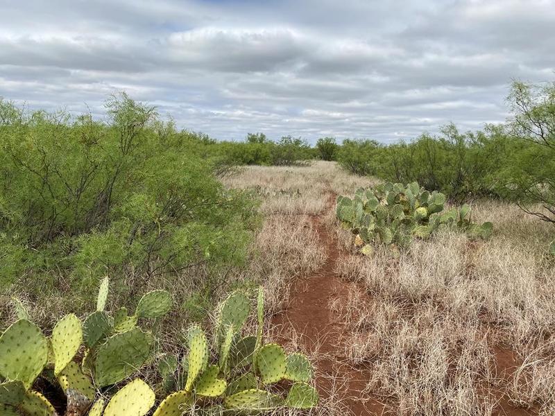 West I-20 S Service Rd, Westbrook, TX 79565 for Sale