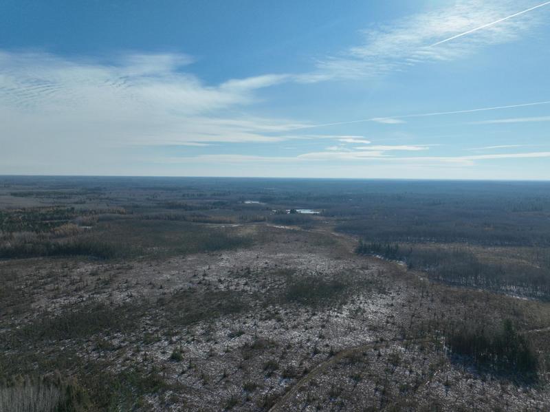 Draper, Sawyer County, WI Recreational Property, Undeveloped Land, Hunting Property for sale Property ID: 418259604