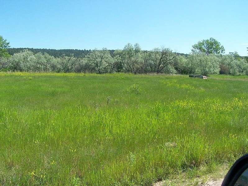 Gray Addition, Newcastle, WY 82701  440457124 for Rent