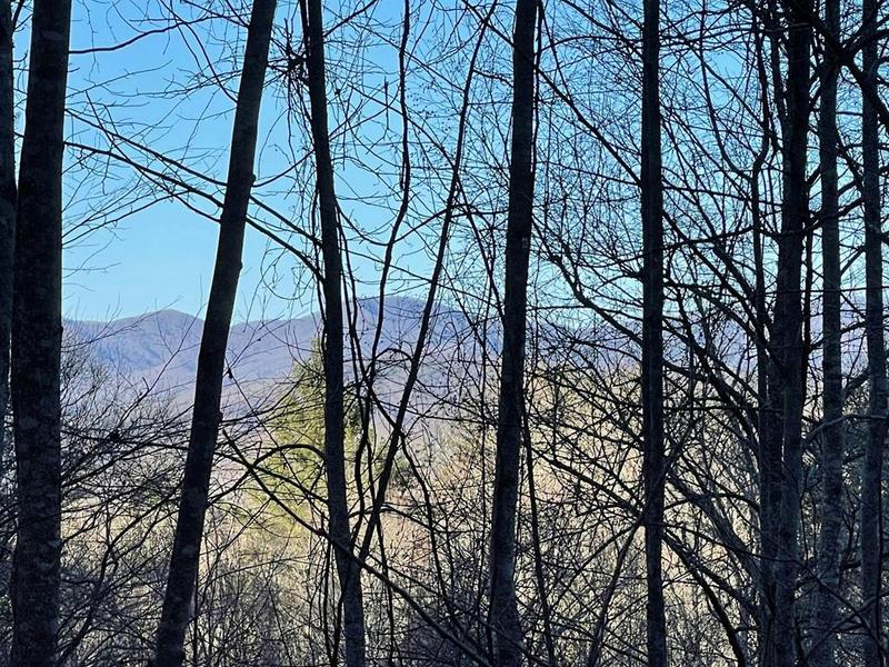 00 SAPPHIRE LANE, Franklin, NC 28734 Land For Sale  MLS# 26028184