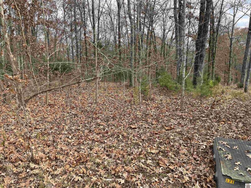 Murray, Calloway County, KY Undeveloped Land, Homesites for sale Property ID: 418290018