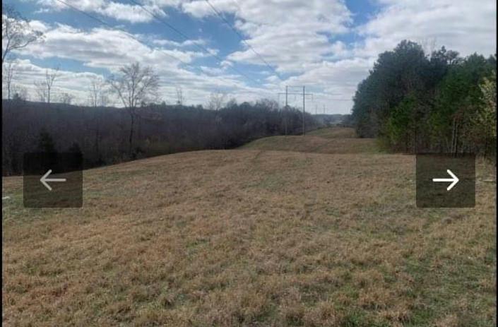 0 RIDGE RD, Savannah, TN 38372 Land For Sale  MLS# 2601859