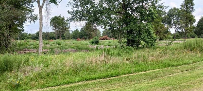 000 1ST STREET, Hempstead, TX 77445 Land For Sale  MLS# 21464330