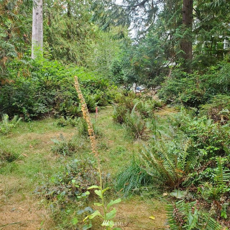 655 East Portage Road, Shelton, WA 98584 - MLS 1842156 for Sale