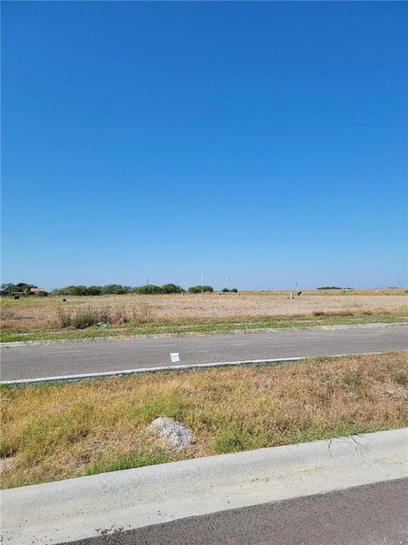 3541 Sahar Lake Dr, Robstown, TX 78380 for Sale