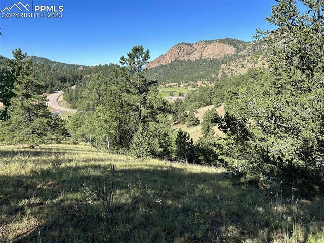 419 MIDDAY CIR, Cripple Creek, CO 80813 Land For Sale  MLS# 3758558