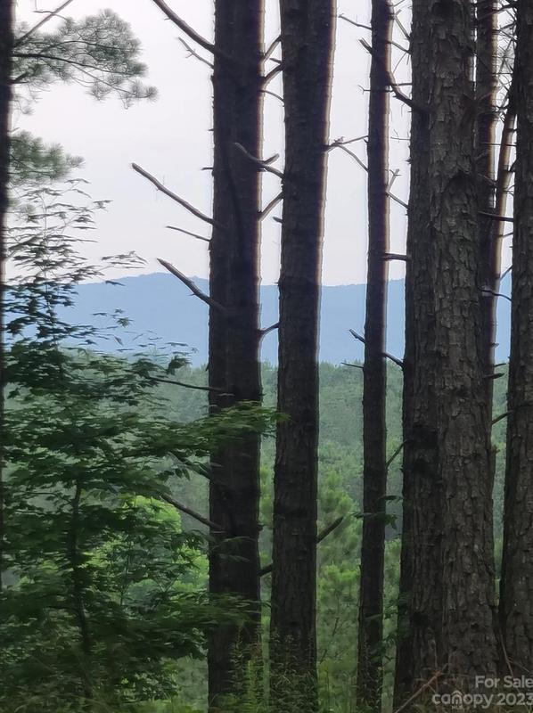 122 Table Rock Trace, Valdese, NC 28690 - MLS 4064171 for Sale