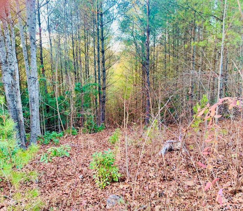 1 93 Acres Lot Cb-6 Blowing Pines Ct #Lot CB-6, Lenoir, NC 28645 - MLS 4095340 for Sale