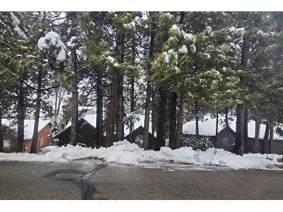 Forest Meadows Dr for Sale