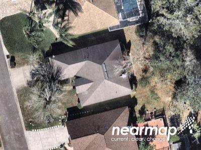 Dalmation Ln E for Sale
