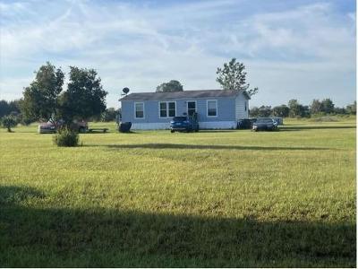 Pelican St for Sale