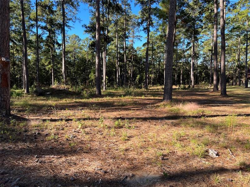 036 PR 6029, BROOKELAND, TX 75931 for Sale