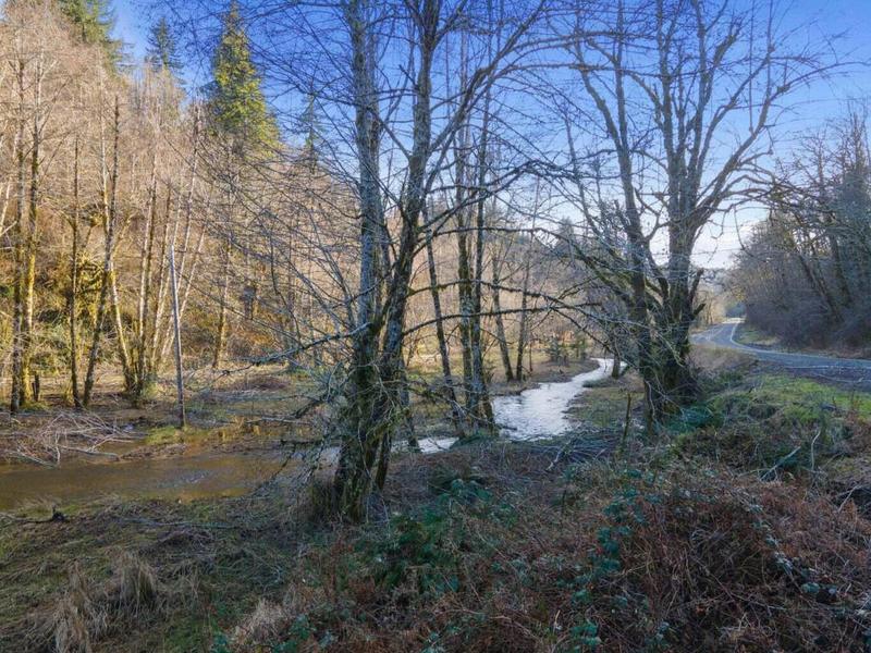 LOT 800 HIGHWAY 22, Hebo, OR 97122 Land For Sale  MLS# 23-117