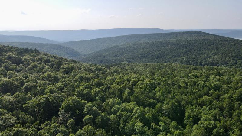 Clayton, Pushmataha County, OK Recreational Property, Undeveloped Land, Hunting Property for sale Property ID: 417652443