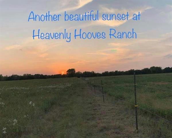 18897 JOHNSON LN, Farmersville, TX 75442 Land For Sale  MLS# 20185489