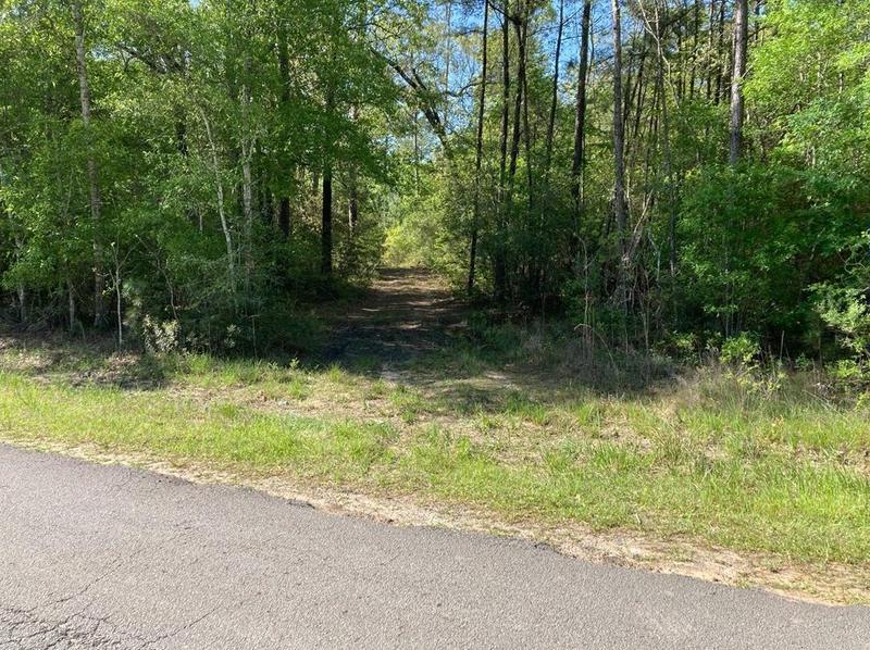 000 Petty Walker Rd, Conroe, TX 77306 - MLS 73089394 for Sale
