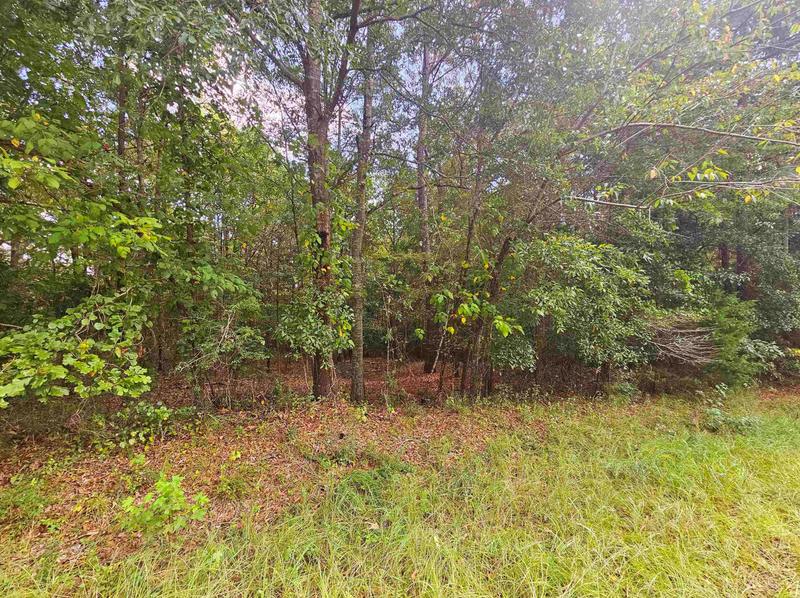104 Harris St, Griffin, GA 30223 - MLS 20147479 for Sale