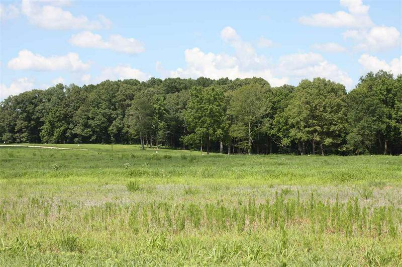 9 TRICE RD, Henderson, TN 38340 Land For Sale  MLS# 202814