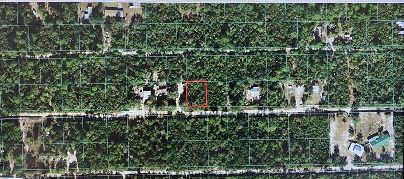 00 NE 236th St, Fort Mc Coy, FL 32134 - MLS OM642877 for Sale