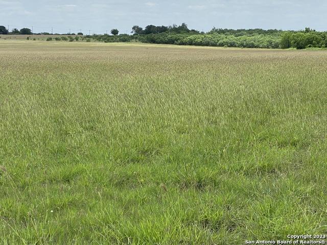 5395 FREUDENBURG RD, San Antonio, TX 78109 Farm For Sale  MLS# 1743028