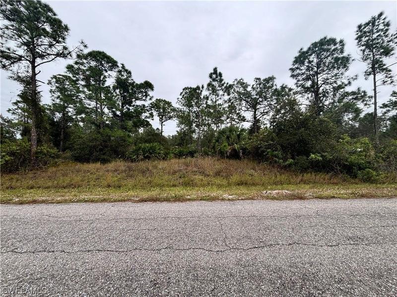 Lehigh Acres, Lee County, FL Undeveloped Land, Homesites for sale Property ID: 418287392