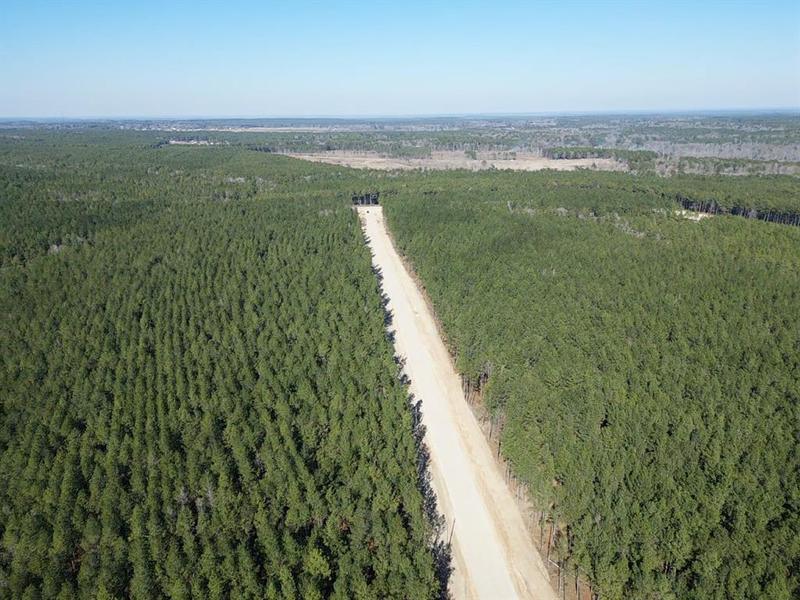 0 Huntsman Ln, Huntsville, TX 77340 for Sale
