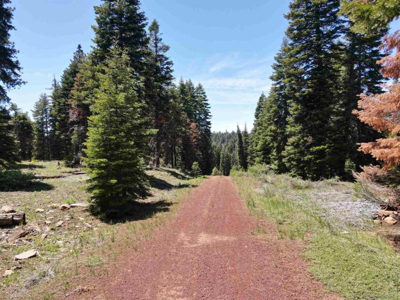 0 BIGHORN RD # -000, Alturas, CA 96101 Land For Sale  MLS# 230023132