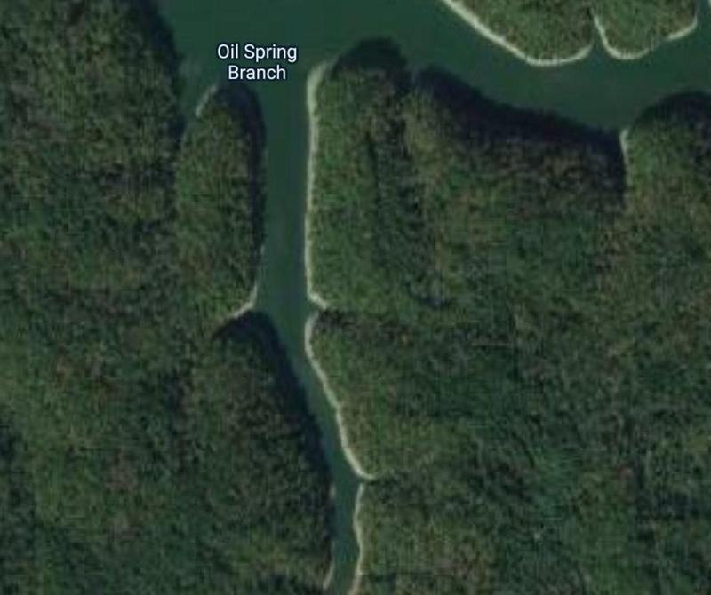 Monticello, Wayne County, KY Undeveloped Land for sale Property ID: 412458711