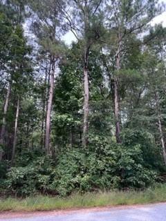 Fair Play, Oconee County, SC Undeveloped Land, Homesites for sale Property ID: 417735478